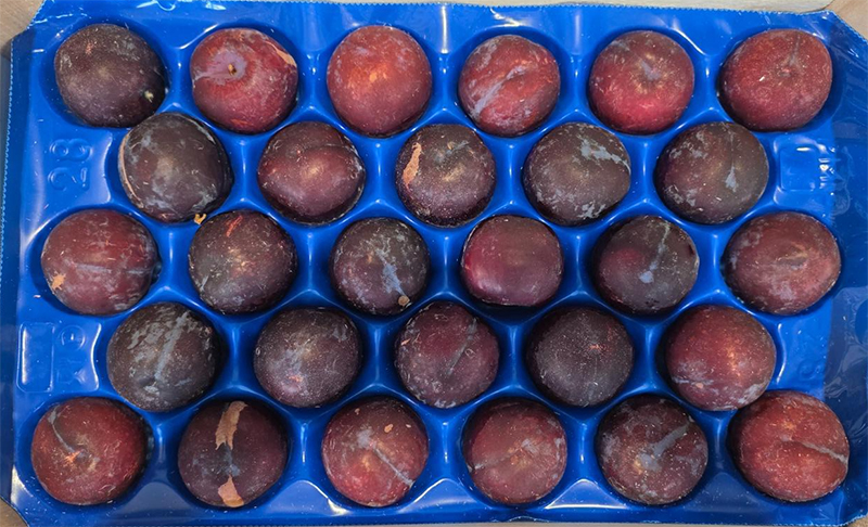 Susine - Campania - 2,30 euro al chilogrammo